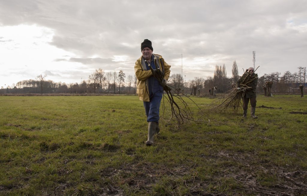 Foto: Willem Heijdeman