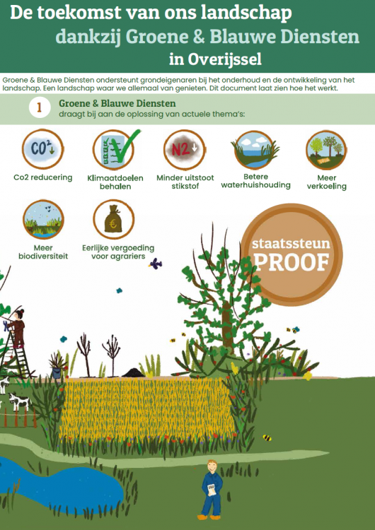 Infographic afbeelding