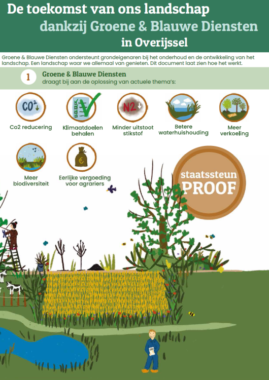 Infographic afbeelding